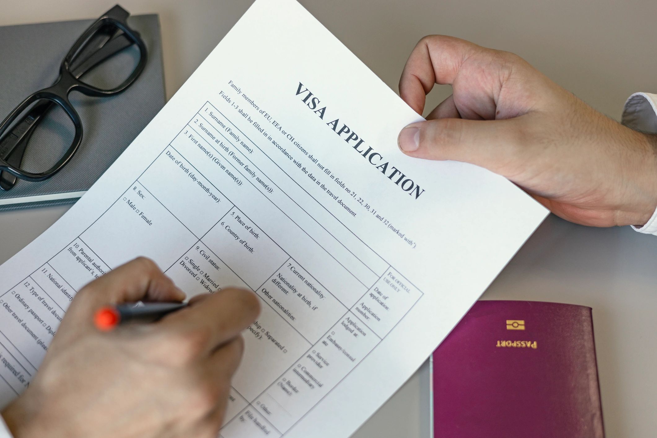 Visa approval document for a happy client.